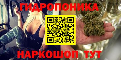2c-b Кунгур