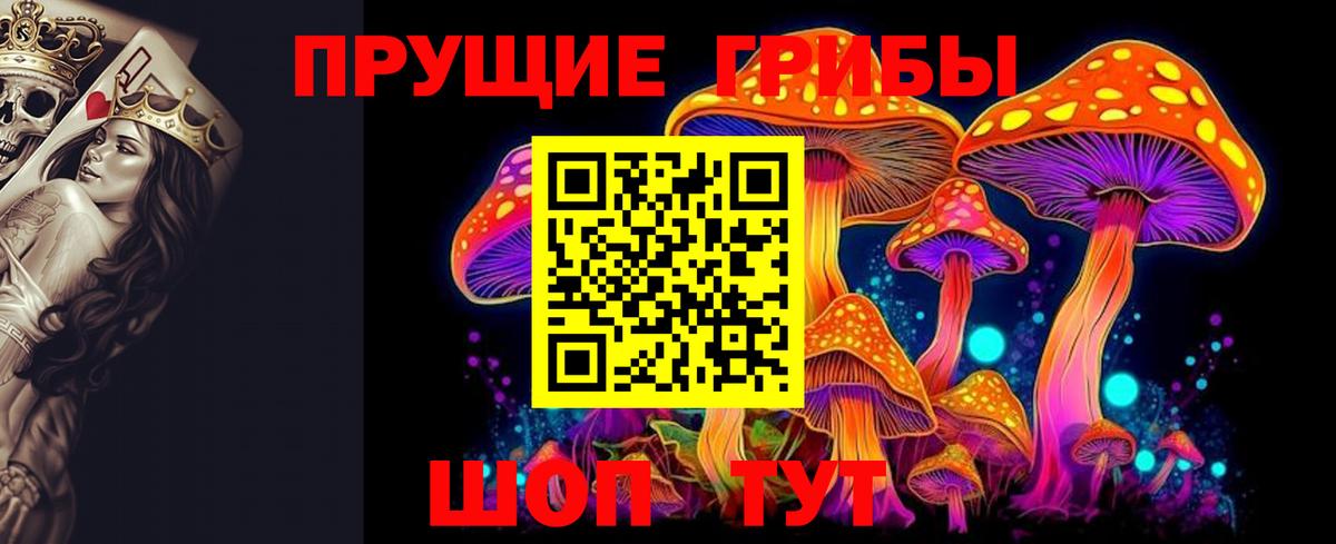 Псилоцибиновые грибы мицелий Ковров